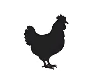 chicken icon for disposablefarmwear.com