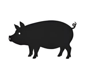 pig icon for disposablefarmwear.com