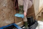 farmer putting on disposable wellington boot cover for yard work