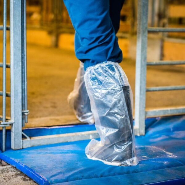 famer with single-use disposable boot covers in going in a cow barn